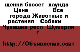 щенки бассет- хаунда › Цена ­ 20 000 - Все города Животные и растения » Собаки   . Чувашия респ.,Шумерля г.